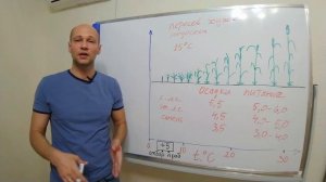 Норма высева