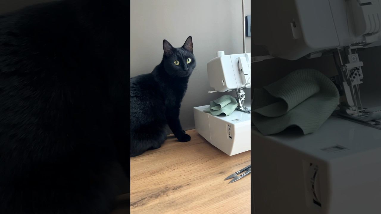 Костюм Роджер на осень по выкройкам МШМ готов! #рукоделие #швейныйблог #шитье #выкройки смотреть онлайн