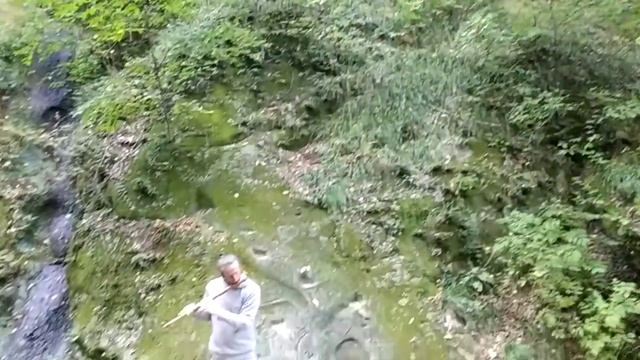 Волшебная игра на флейте в лесу в горах | Magic game on flute in the forest in the mountains