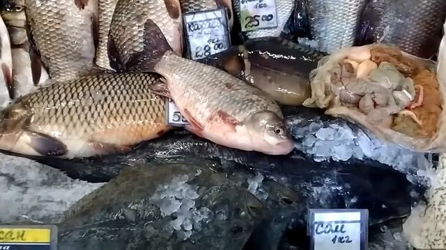 Живая рыба (95.80) смотреть онлайн