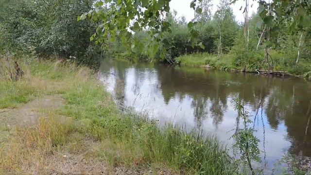 "Речка Баранча-хорошее место для отдыха." смотреть онлайн