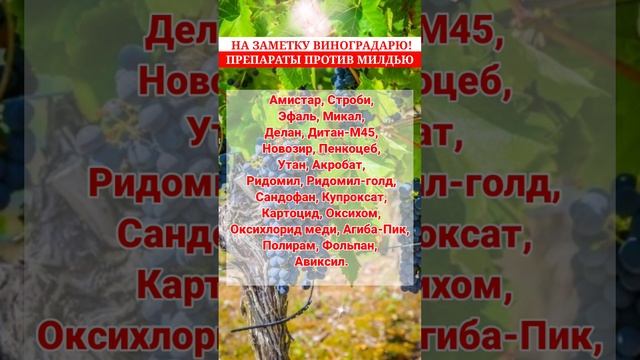 фунгициды против милдью
