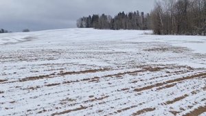 Коп в Беларуси, Нашли Редкую Медаль,Коп Металла в Беларуси, Коп монет.