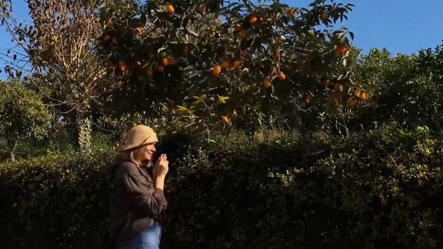 Что делать в Абхазии? смотреть онлайн