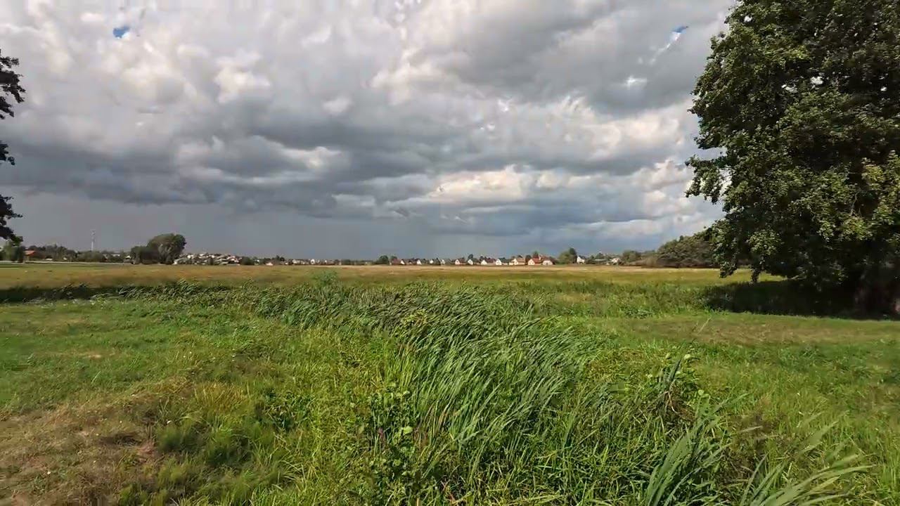 Несвиж 13