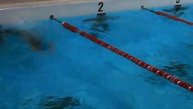 Carlotta 100mt Dorso смотреть онлайн