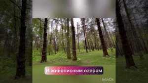 Монино, обзор территории дома у озера