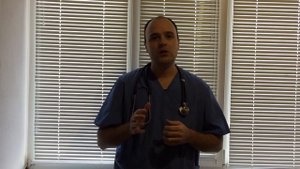 Лечение ушного клеща у кошек и собак проверенная схема