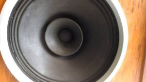 Колонки на широкополосных динамиках 25гд-18/22