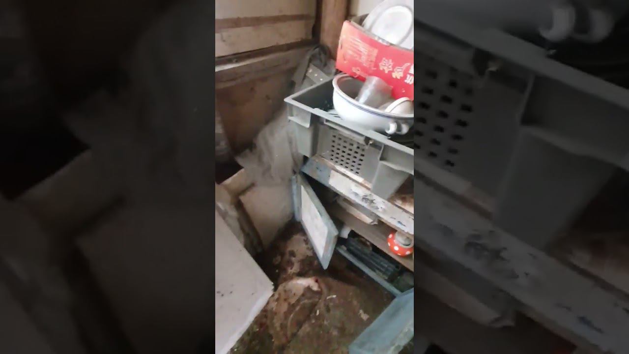 военная форма в заброшке #shorts #амурскаяобласть #ссср #сталк #позаброшкам