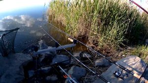 Ловля карася ! Николаевском водохранилище.