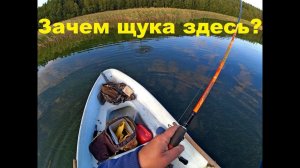 Почему щука выбирает одни и те же места.