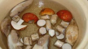 Подосиновики консервированные