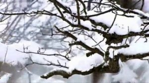 Песенка о дуэлях