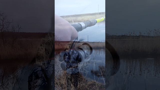 Предвкушение