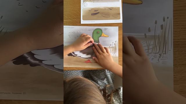 Развиваем мелкую моторику смотреть онлайн