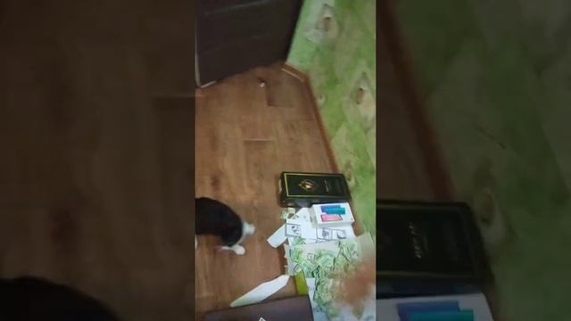 Приколы с котами Смешные коты 2021 и приколы с животными