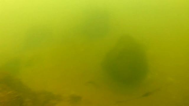 подводная съёмка река подо льдом смотреть онлайн