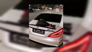 Roza Filberg - В белом самолёте