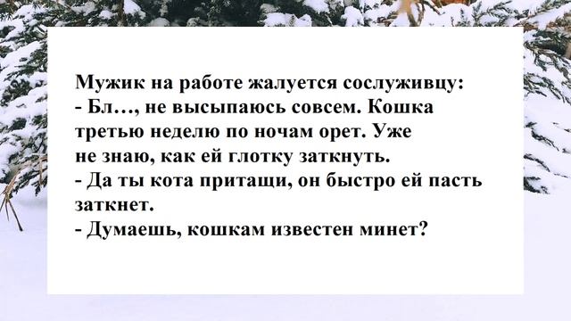 №36 ...он быстро ей пасть заткнёт... Смешные анекдоты. Отборные анекдоты. Веселые анекдоты. Смех.
