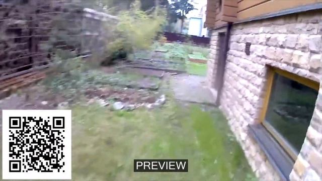 Размножение хвойных растений черенками