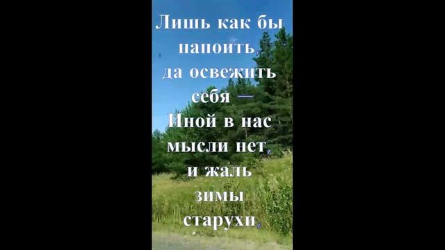 Душевное видео о лете, природе, съёмка в дороге.