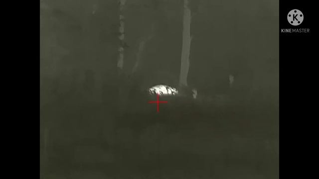 Тепловизионный прицел айрей сайм скт 35.и кабанчик смотреть онлайн