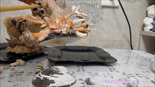 ??? Сервировка стола морскими ракушками. Салфетницы своими руками