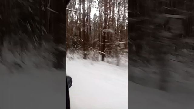 video_2023-12-19_01-29-48