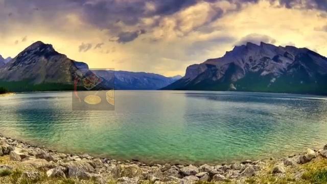 5 Best Waffle Maker Machine On Aliexpress 2024 смотреть онлайн