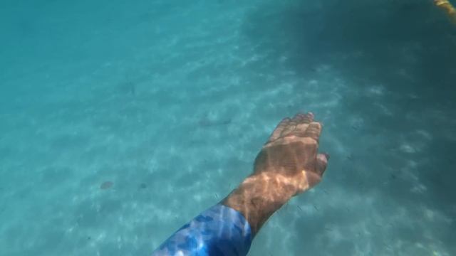 ВЫЖИТЬ на ОСТРОВЕ АКУЛ [Часть-5] Выживание на необитаемом новом острове. Охота на Гавайку. №30 смотреть онлайн