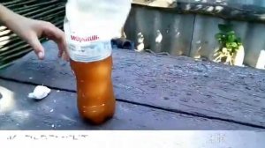 ЭКСПЕРЕМЕНТ КАК СДЕЛАТЬ КОМПОТ ГАЗИРОВАНИЙ В ДОМАШНИХ УСЛОВИЯХ