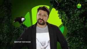 Живая Планета. Виктор Логинов