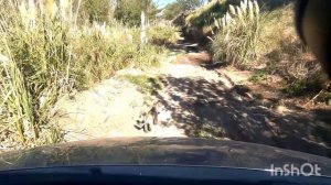 Renault Duster 4x4, Recorrido en el predio 4x4 que posee la génte de Panda Trouper aventour