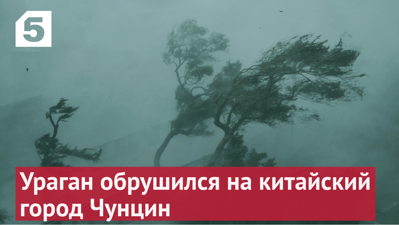 Ураган пронесся по китайскому городу Чунцин. Жертвой стихии пало множество деревьев © BRAVE SPIRIT