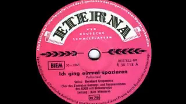 Ich ging einmal spazieren