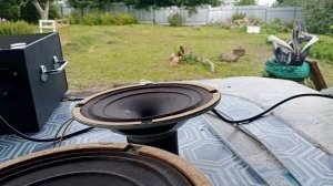 Динамик 4ГД4