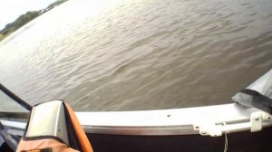 ЛОВИМ ЖЕРЕХА НА КЕМБРИКИ