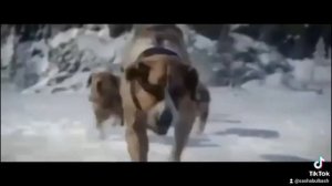 фильм Зов предков