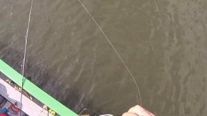 Большой Иргиз - рыбалка 25 августа 2017 - ловля щуки