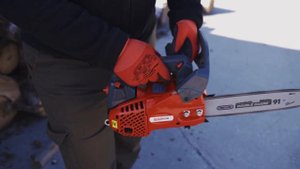 Тест бензопил Evoline
