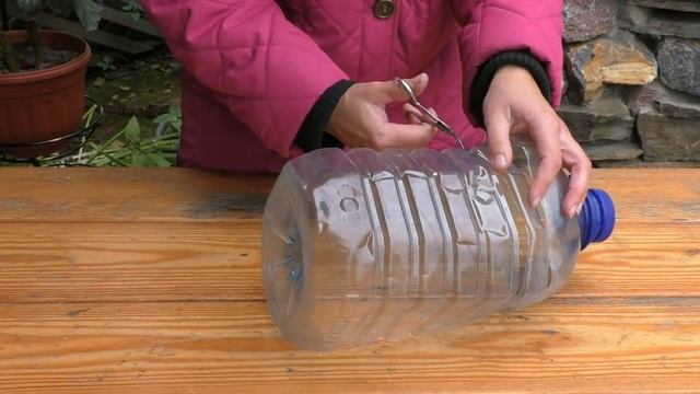 Как защитить луковичные цветы от мышей смотреть онлайн