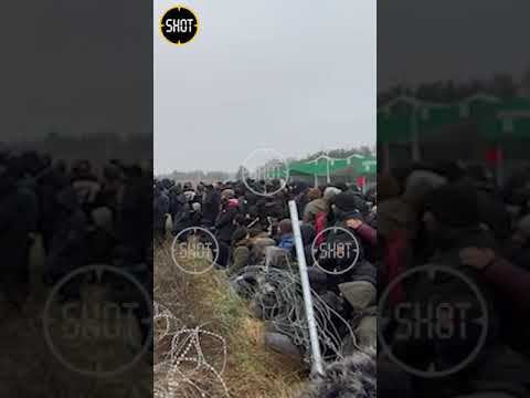 Мигранты встали перед поляками на колени