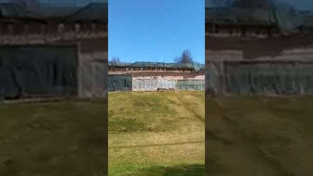Новгородский кремль, Детинец.mp4