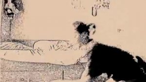 Моя гимнастика(Часть 1)