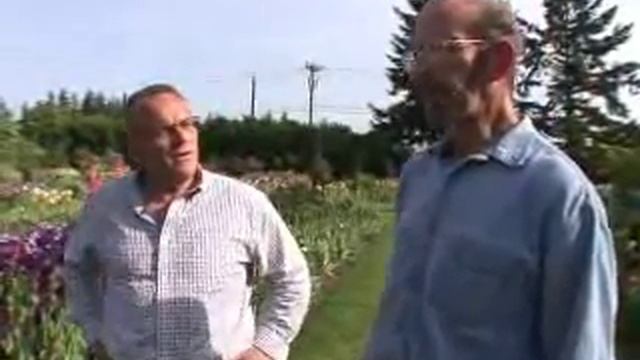 Schreiner's Iris смотреть онлайн