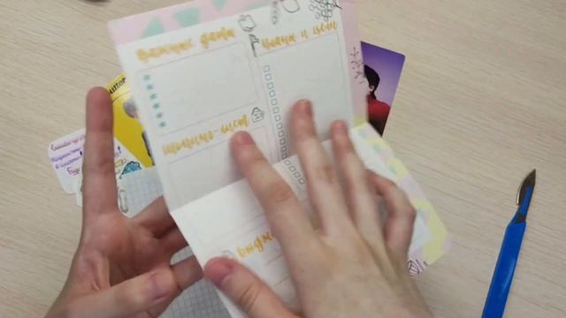 Распаковка карт Stray Kids или как кошки чувствуют кота! смотреть онлайн