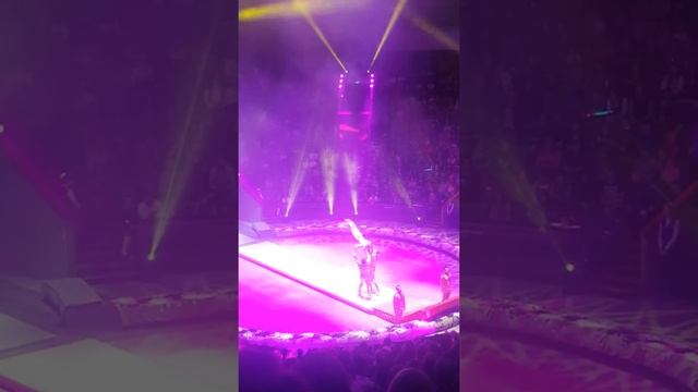 Поход в цирк "шоу эмоции" смотреть онлайн