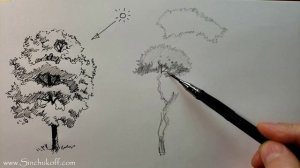 как нарисовать дерево поэтапно как нарисовать дерево