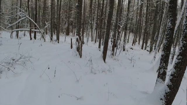 НЕРЕАЛЬНО КРАСИВАЯ КАТКА#stels #shots #aodes #cfmoto #квадроцикл смотреть онлайн